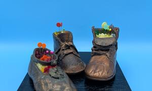 Baby Shoes