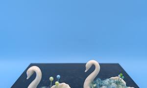 Tiny Swans